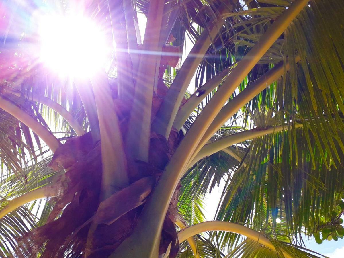 Vacation Beach Fales Hotel Manase Exterior foto